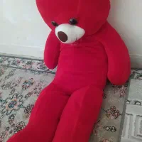 خرس شاسخین|اسباب‌بازی بچه|شیروان (خراسان), |دیوار