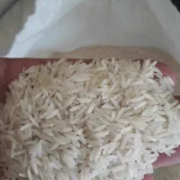 برنج شیرودی|خوردنی و آشامیدنی|کرج, شهر صنعتی|دیوار