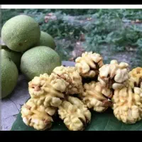گردو زن