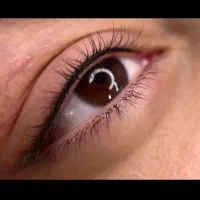 شیدلب رایگان شهرک|خدمات آرایشگری و زیبایی|تربتحیدریه, شهرک ولیعصر|دیوار