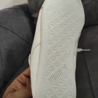 کفش پوما اورجینال|کیف، کفش، کمربند|رشت, کوی مهر|دیوار