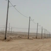 زمین دامداری