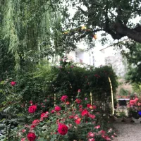 فروش باغ رستوران|فروش مغازه و غرفه|نمین, |دیوار