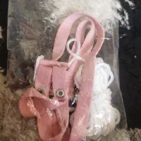 قلاده پرنده بدون استفاده
