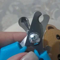 ناخن گیر گربه