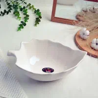 انواع ظرف سالاد و...