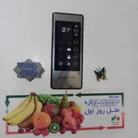 تعمیرات تخصصی یخچال بخاری لباسشویی|خدمات پیشه و مهارت|گلبهار, شهر جدید گلبهار|دیوار