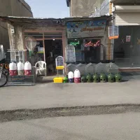 دهکده پرندگان|پرنده|سنقر, |دیوار