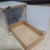 لونه و جا تخمی عروس هلندی و طوطی های کوچک