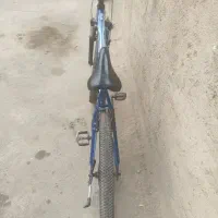 دوچرخه 26-27 حرفه ای ویوا|دوچرخه، اسکیت، اسکوتر|پاکدشت, پاکدشت (مامازند)|دیوار