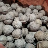 گردو مغز سفیدوروغنی،زرشک کوهی طبیعی اصل شاجهان