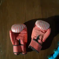 کیسه بوکس همراه دستکش درحد نو