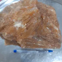 فسیلسنگ|مجسمه، تندیس، ماکت|شهرکرد, |دیوار