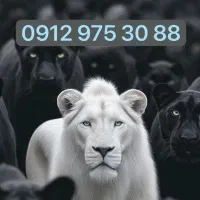 9129753088 خشک پک مخابرات