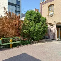 هرس تخصصی درختان و طراحی فضای سبز مدارس و ادارات|خدمات باغبانی و درختکاری|دزفول, |دیوار