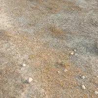 زمین-گورک-کلبندی-205متر