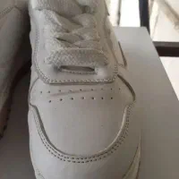 کتانی سایز ۳۹