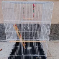 قفس پرنده