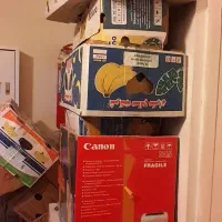 کارتن موزی سالم ارزان