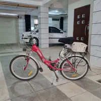 دوچرخه DINO AMOR