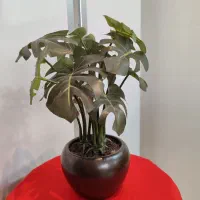 گلدان سبز مصنوعی