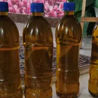 روغن زیتون اصل هرزویل خونگی