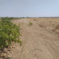 زمین کشاورزی ده هزارمتری|فروش دفتر صنعتی، کشاورزی، تجاری|خرمدشت, |دیوار