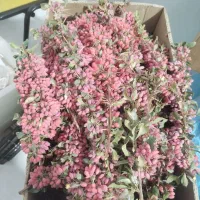 زرشک درجه یک قاین|خوردنی و آشامیدنی|مشهد, جاهد شهر|دیوار