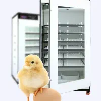 دستگاه جوجه کشی هدایت با یک سال ضمانت (فروش قسطی)