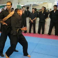 دفاع شخصی ورزشهای رزمی