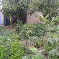 فروش-یا-معاوزه-140متر-زمین-باغ-پشت-خانه