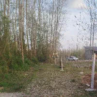 250 متر زمین روستائی با قیمت استثنائی