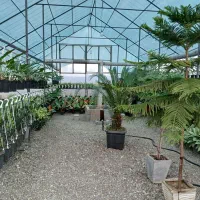 فروش گلخانه