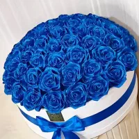 گل های ساتنی