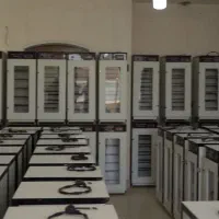 دستگاه جوجه کشی-پرنــدگان زیـنتیـtaq۰۰