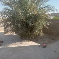 فروش خانه قدیمی در روستا لیشتر مظفراباد|فروش خانه و ویلا|دوگنبدان, |دیوار