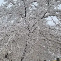 سیم کارت رند