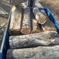 خریدار انواع چوب