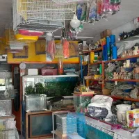 فروش سه دهنه مغازه|فروش مغازه و غرفه|داران, |دیوار