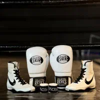 دستکش بوکس، محافظ لثه، کفش بوکس، کلاه بوکس|تجهیزات ورزشی|شیراز, قدوسی شرقی|دیوار