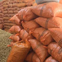 بادام زمینی  خام و برشته و آجیل