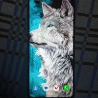 poco c 71 یک ماه کارکرد نو فوری