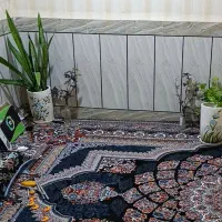 فرش 12متری 2 عدد