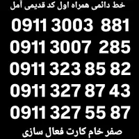 09113003881