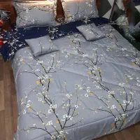 روتختی دونفره نو