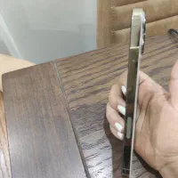 13پرومکس