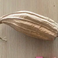 لیف گیاهی لوفا