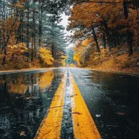 زمین شرکت نفت