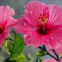 احترام به خودت بگذار.