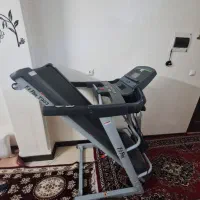 تردمیل fit flex